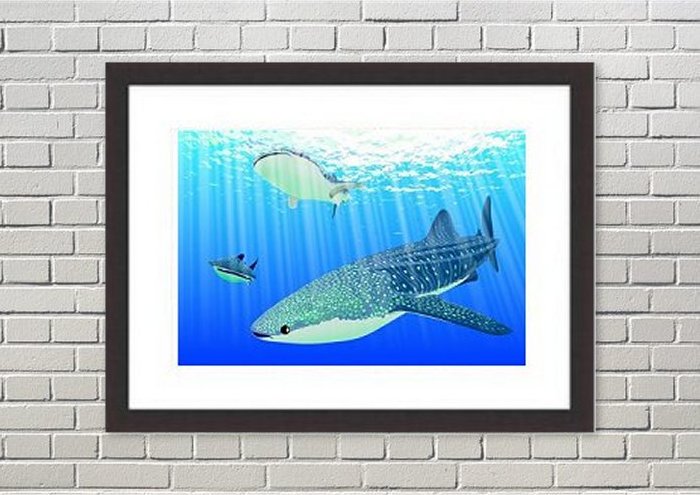 Framed Print Framed Print